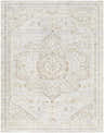 Close-up of the Carmela Becki Owens x LIVABLISS BOCM-2303 Area Rug. Beige, ivory, gray and tan traditional pattern. Design-Rectangle-537