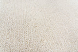 Rizzy BR859A Area Rug