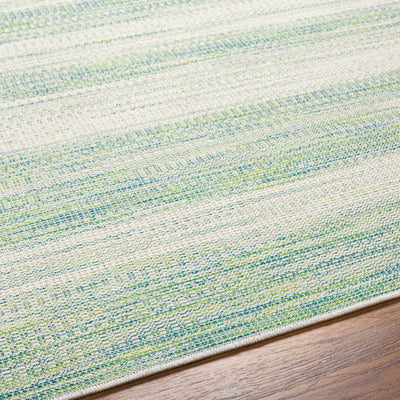 Kris Green Area Rug - Clearance