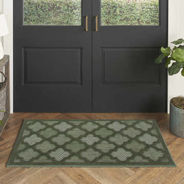 Entryway with a Nourison Easy Care Green Modern Area Rug, dark door, and wood floors.