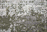 Close-up of the Feizy Cadiz rug, showcasing its gray, green, and silver ikat pattern and soft, textured pile. Texture