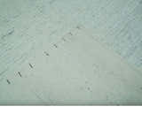 Carved Texture Modern Geometrical Design  Custom Made  Ivory and Light Blue Wool Area Rug