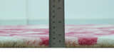 Custom Made Modern Pink Floral Hand Tufted Wool Rug