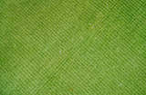 Custom Made Modern Solid Overdyed Green Hand Knotted Wool Area Rug