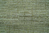 Custom Made Olive and Beige Modern Style Hand Tufted Wool Rug