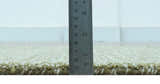 Custom Made Olive and Beige Modern Style Hand Tufted Wool Rug
