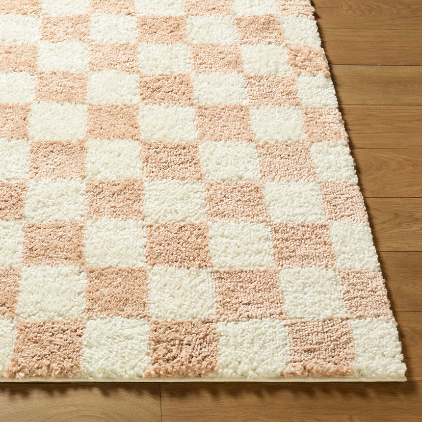Close-up of the Bilshivtsi Area Rug. Features a checkerboard pattern in cream and blush pink on a wood floor. Front