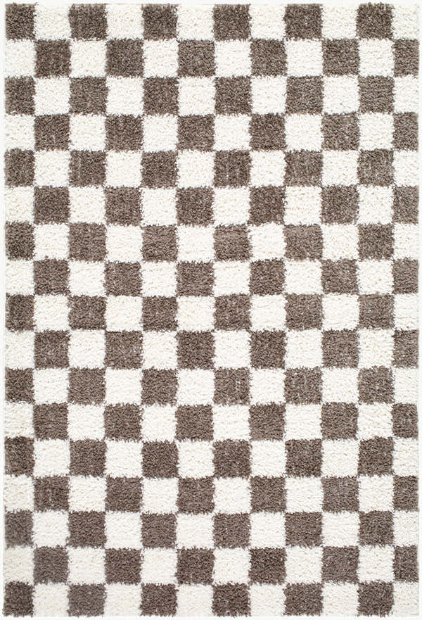 Close-up of the Neftekamsk Area Rug. Features a brown and white checkerboard pattern with a textured, machine-woven construction. Design-Rectangle-537