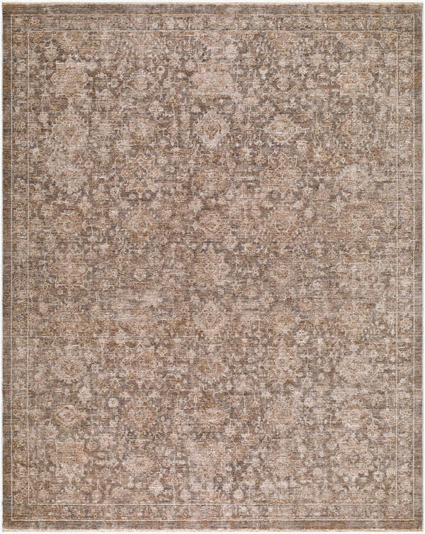 Sample Finlay Fepyci Traditional Machine Woven Area Rug