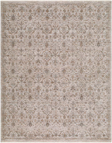 Close-up of Leedor Panoto Traditional Rug. Machine woven polyester in charcoal, ivory, sandstone, and taupe. Floral pattern. Design-Rectangle-71010
