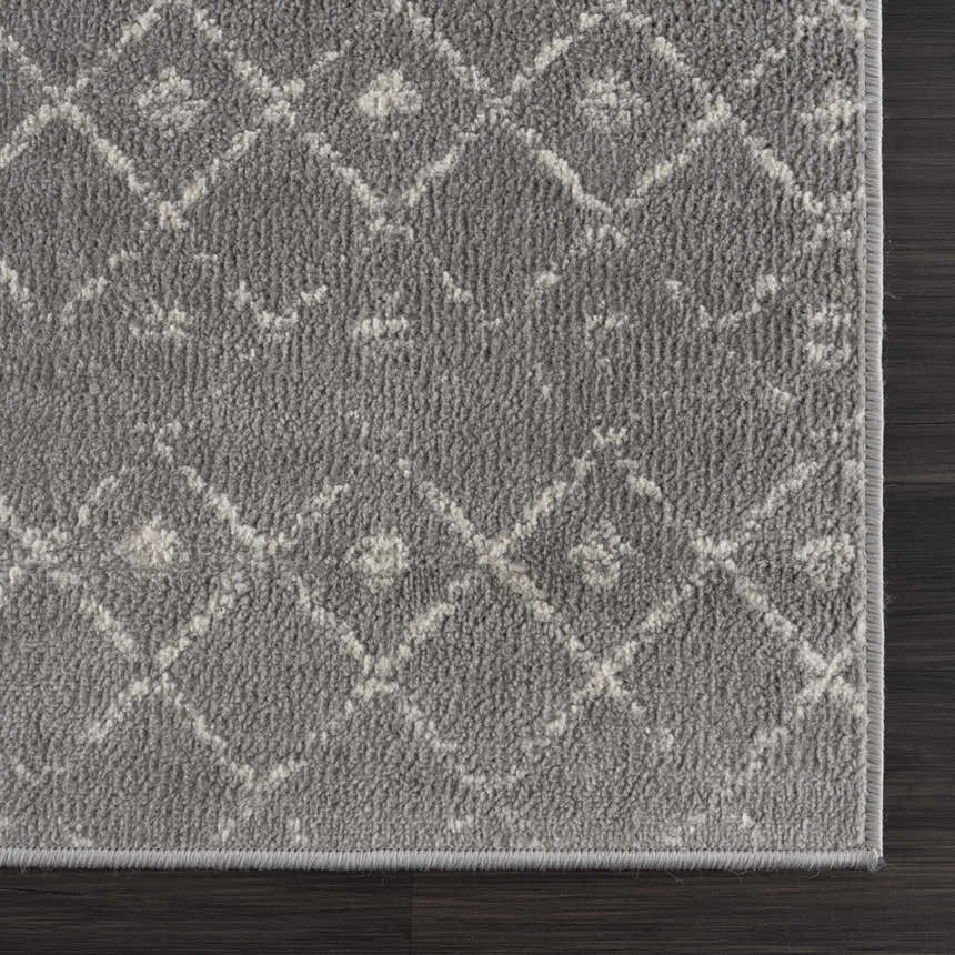 Sample Tigrican Gray 2330 Area Rug - Clearance