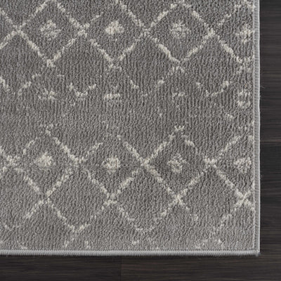 Sample Tigrican Gray 2330 Area Rug