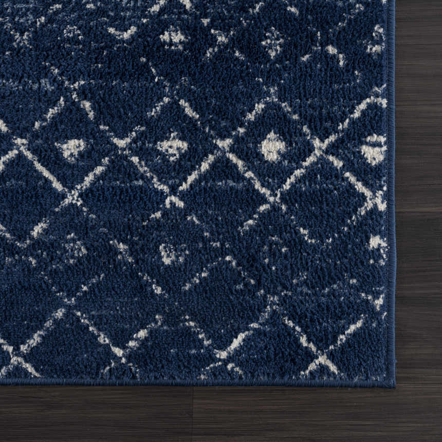 Sample Tigrican Navy 2335 Area Rug - Clearance