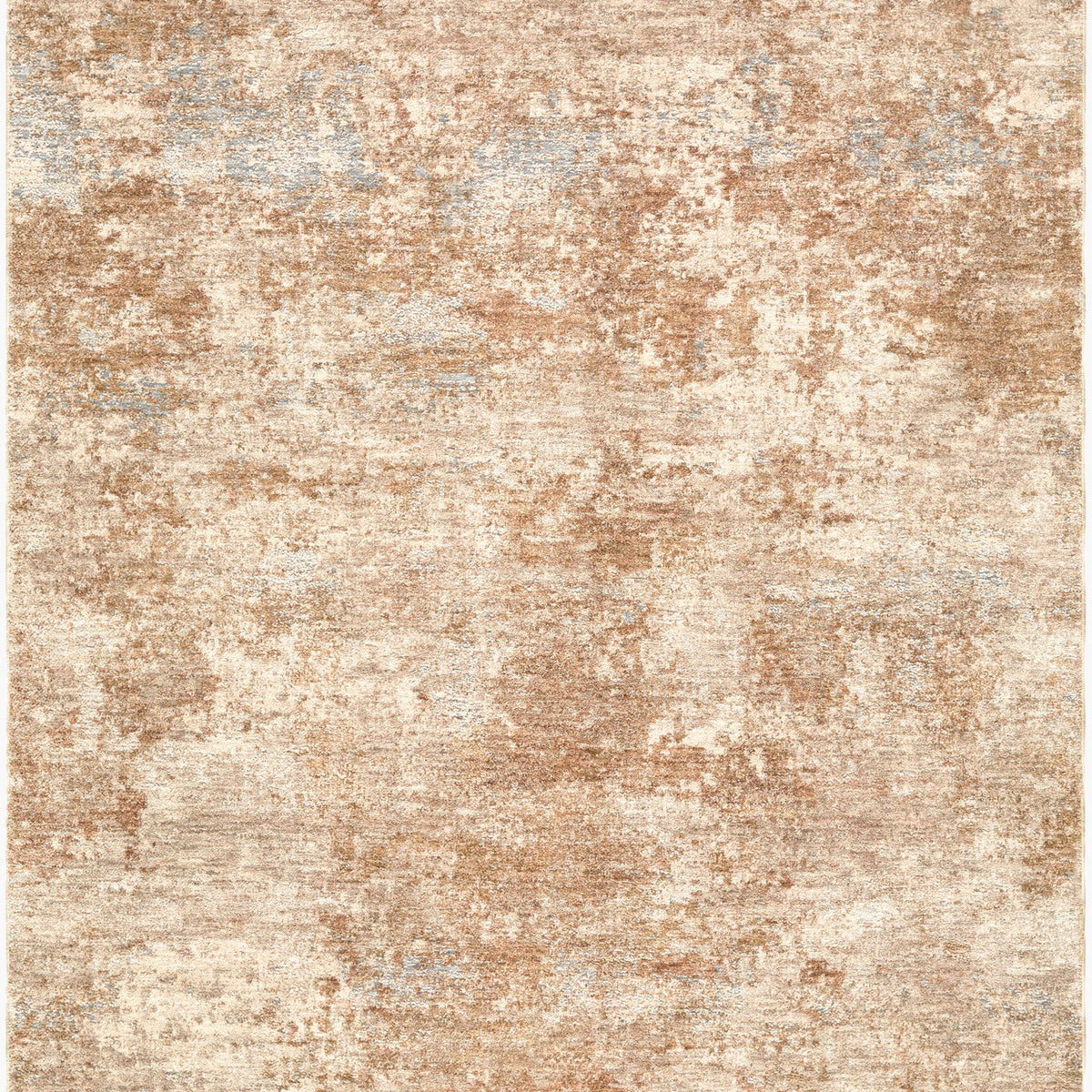 Beat Rugs Picture Betrys Area Rug – Boutique Rugs