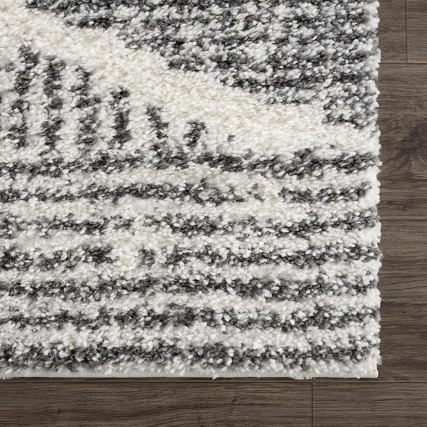 Sample Trunding Area Rug