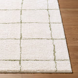 Isthia Area Rug