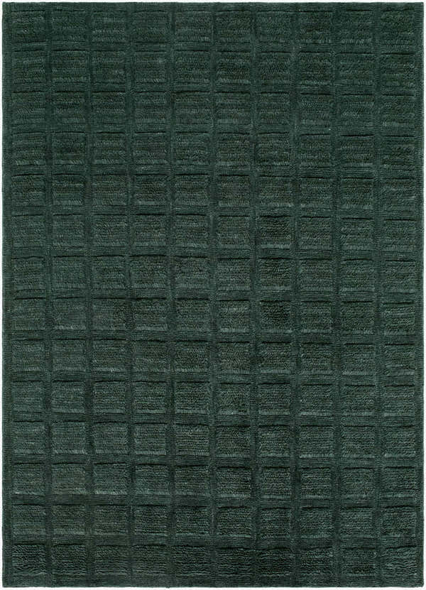 Close-up of the hand woven Janina Washable Area Rug. Charcoal and green wool rug with a contemporary square pattern. Design-Rectangle