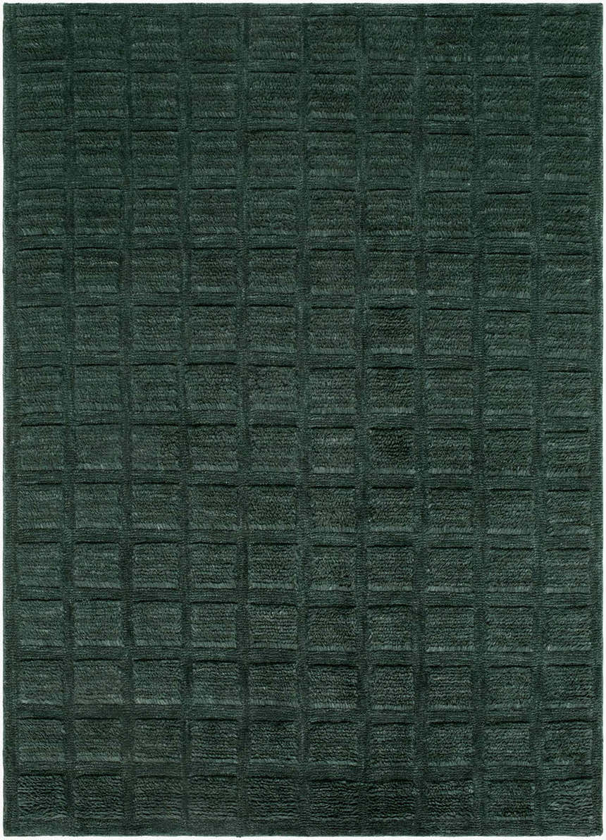 Sample Janina Washable Area Rug
