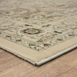 Karastan Exalted Grey Area Rug