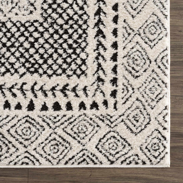 Sample Julio Area Rug