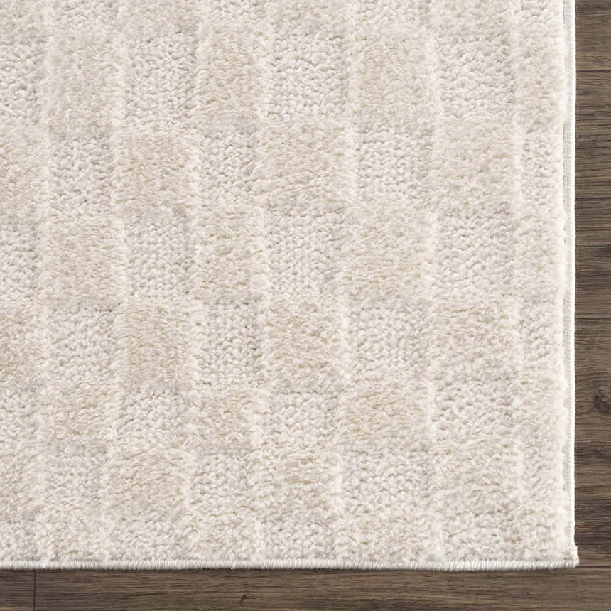 Sample Keesa Checkered Area Rug