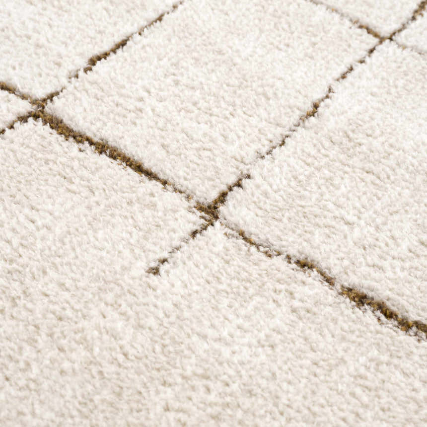 Texture