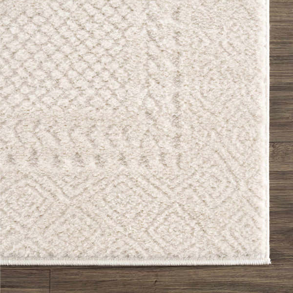 Sample Julio Ivory Area Rug