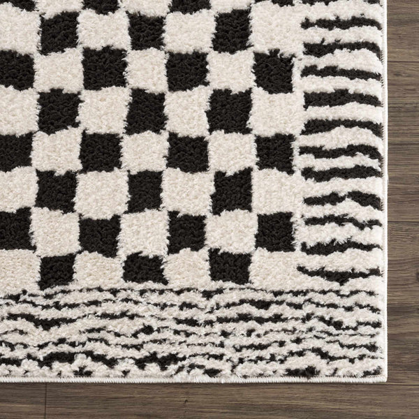 Sample Leryn Black & White Checkered Area Rug