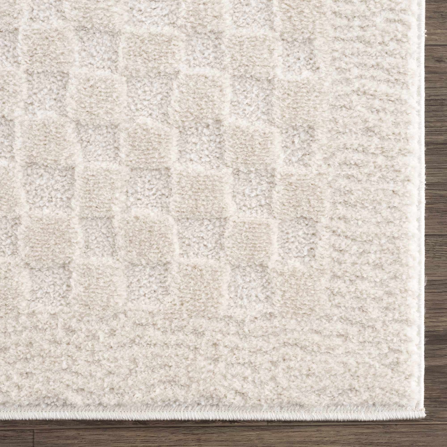 Sample Leryn Ivory Checkered Area Rug
