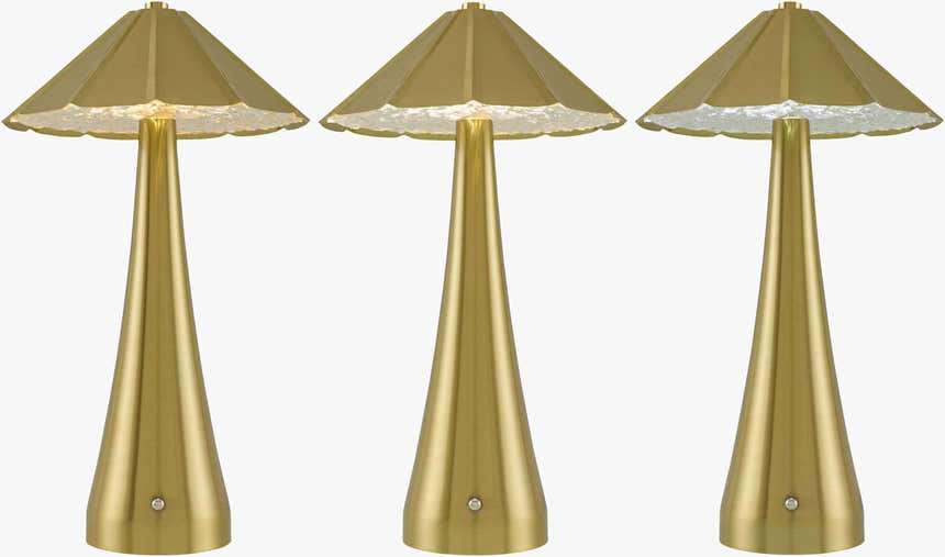 Priyutnoye Metallic - Brass Table Lamp