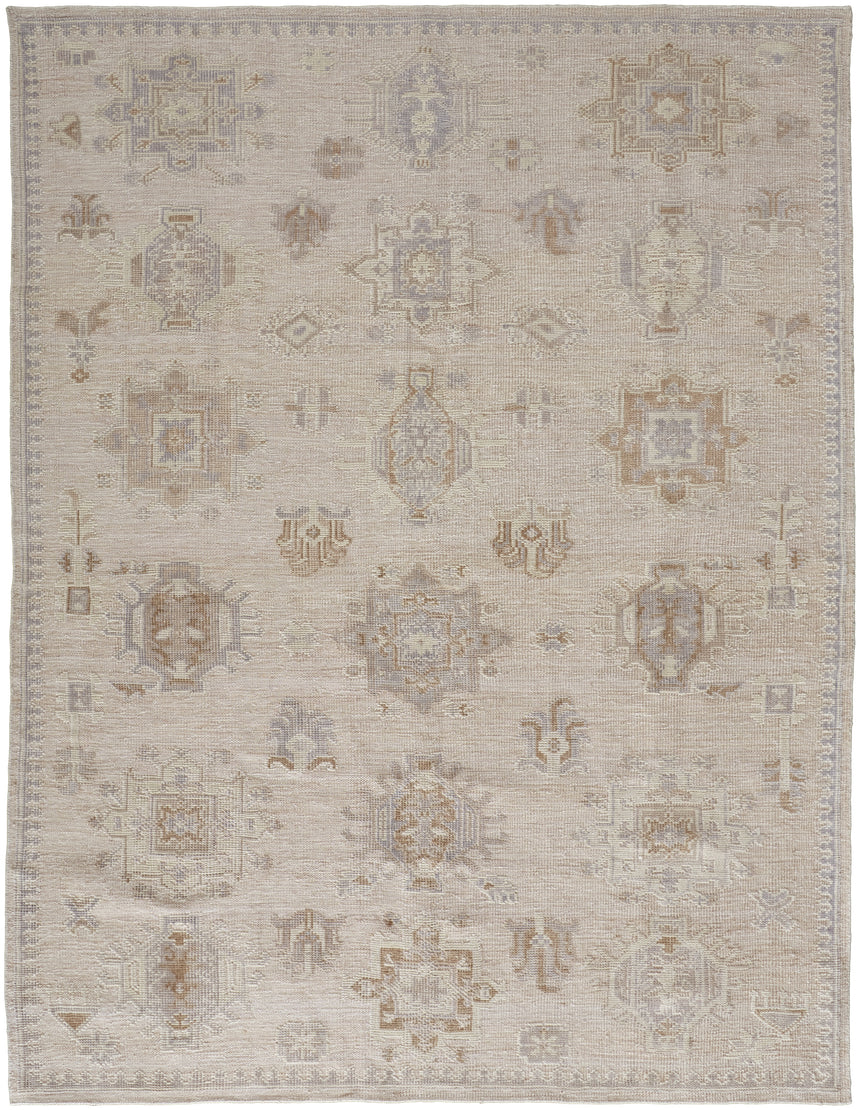 Feizy Wendover Transitional Oriental - Tan/Brown Area Rug