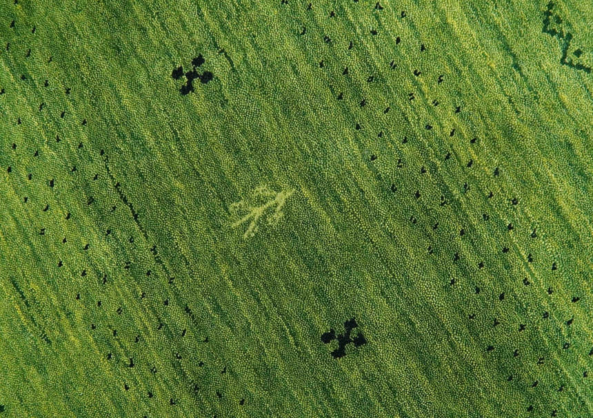 Geometrical Stripes Design Green Hand loom Multi Size wool Area Rug