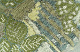 Green And Gray Nature Jungle Hand Knotted Custom Made wool area rug