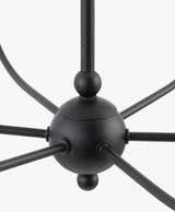 Rudziczka Black Chandelier