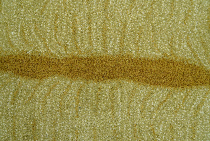 Hand Tufted Animal Lion Black 3x5 Wool Area Rug
