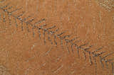 Hand Tufted Animal Lion Brown 2x3 Wool Area Rug