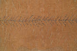 Hand Tufted Animal Lion Brown 2x3 Wool Area Rug