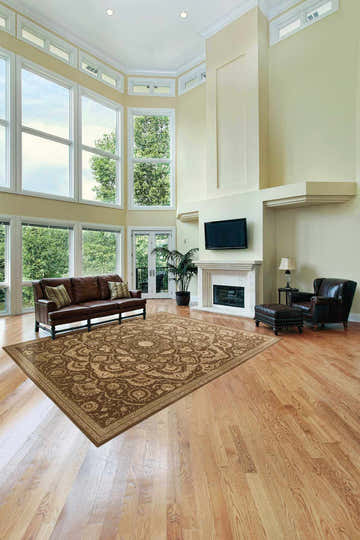Living room with brown leather sofa and Nourison Regal Chocolate Persian rug on hardwood floors.
