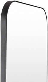 Hlipiceni Mirror