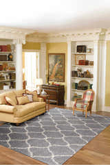 Traditional living room with silver gray Nourison Windsor Shag rug, tan sofa, and built-in bookshelves.