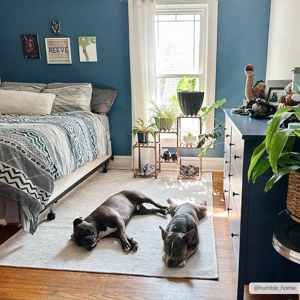 Sample Isako Gray Solid Washable Area Rug