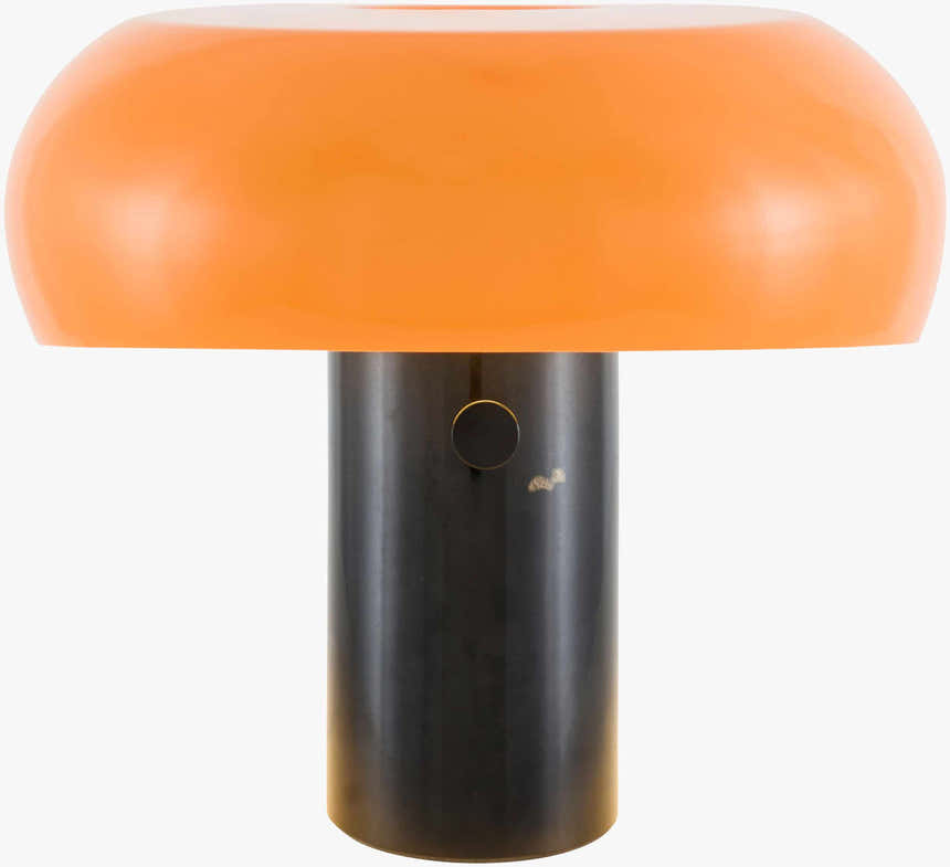 Bachatskiy Black Table Lamp