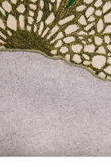 Lotus Lace Green Hand Tufted Wool Area Rug