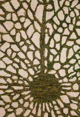 Lotus Lace Green Hand Tufted Wool Area Rug