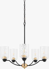 Paprotnia Chandelier