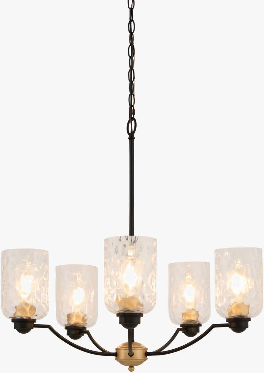 Paprotnia Chandelier