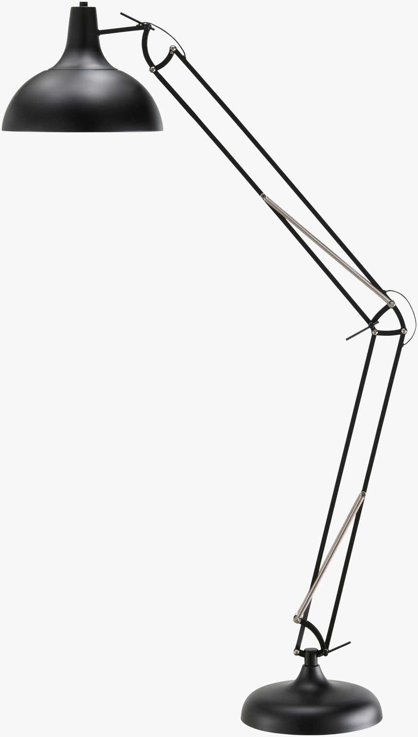 Indergarh Black Floor Lamp