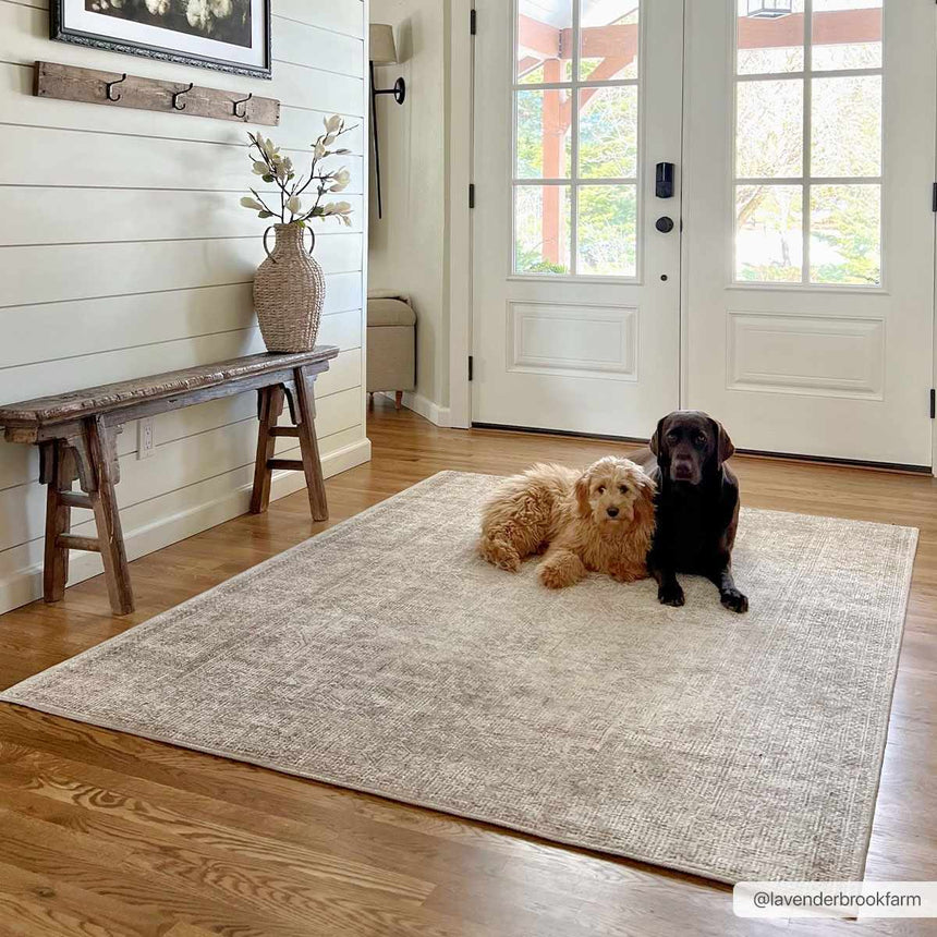 Margot Machine Woven  Becki Owens x LIVABLISS BOSC-2302 Area Rug