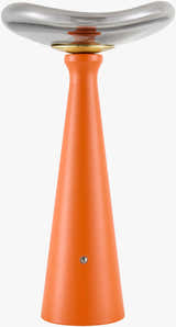 Dinteloord Orange Table Lamp