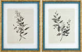 Beige Rustic Framed Wall Art for modern gallery walls